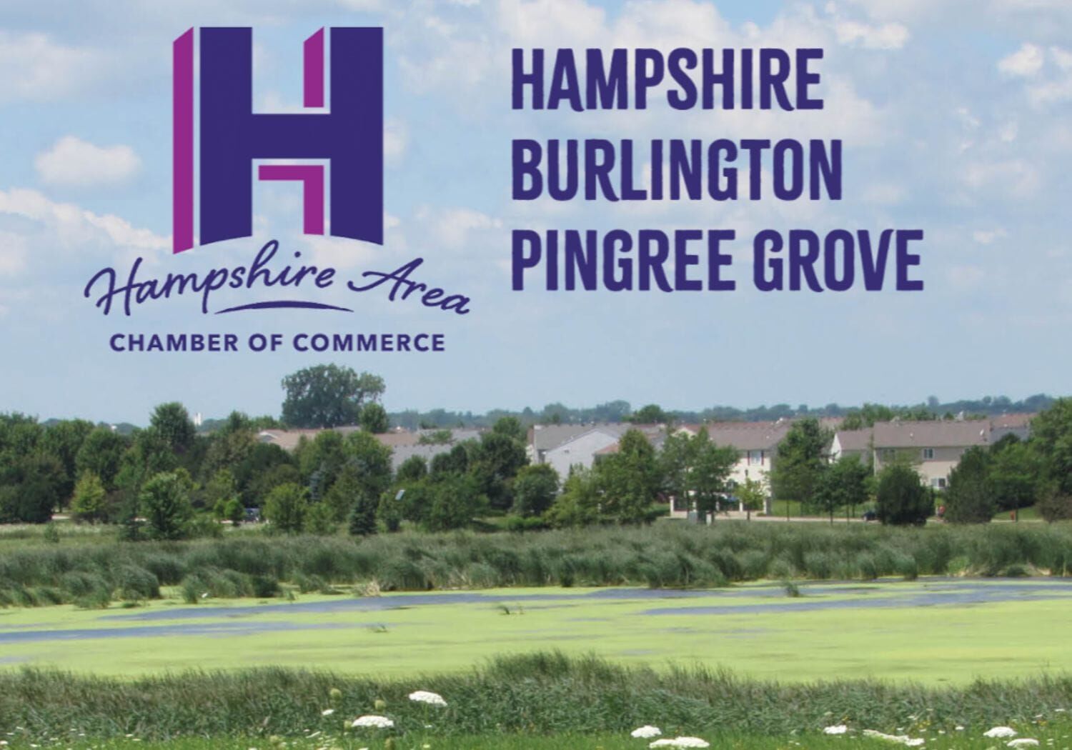 Area Guide cover art web